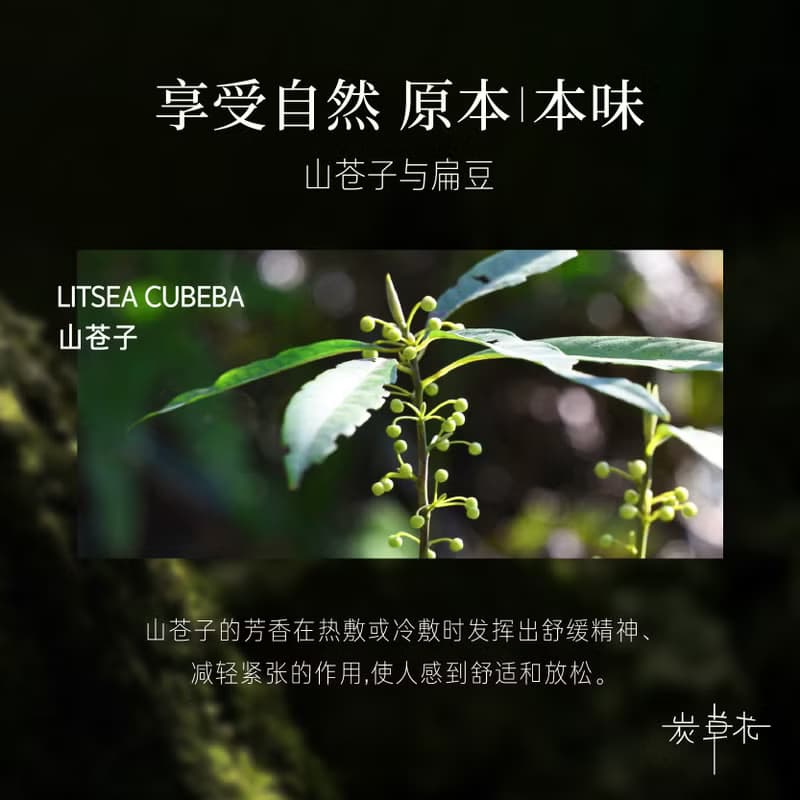 本草植物 養生錘 放鬆全身