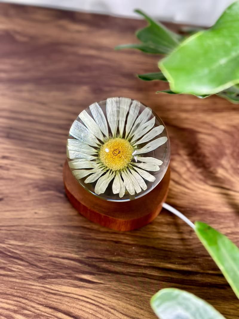 雛菊真花永生花樹脂夜燈