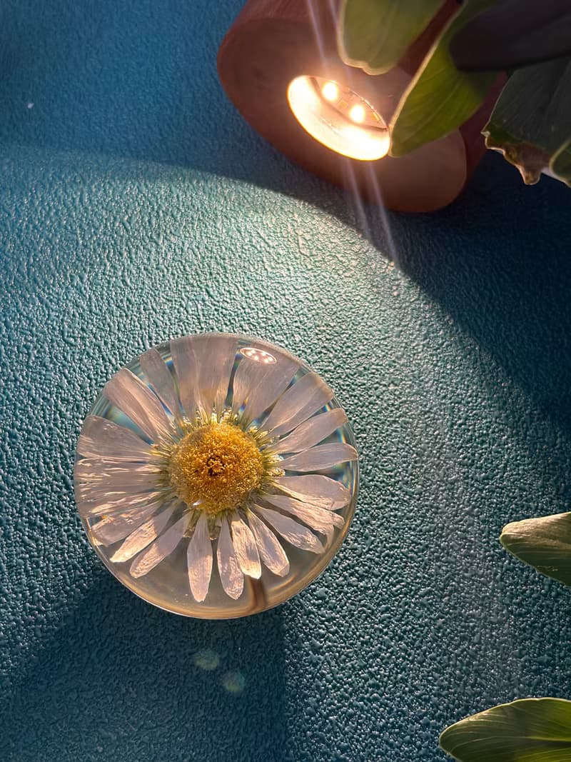 雛菊真花永生花樹脂夜燈
