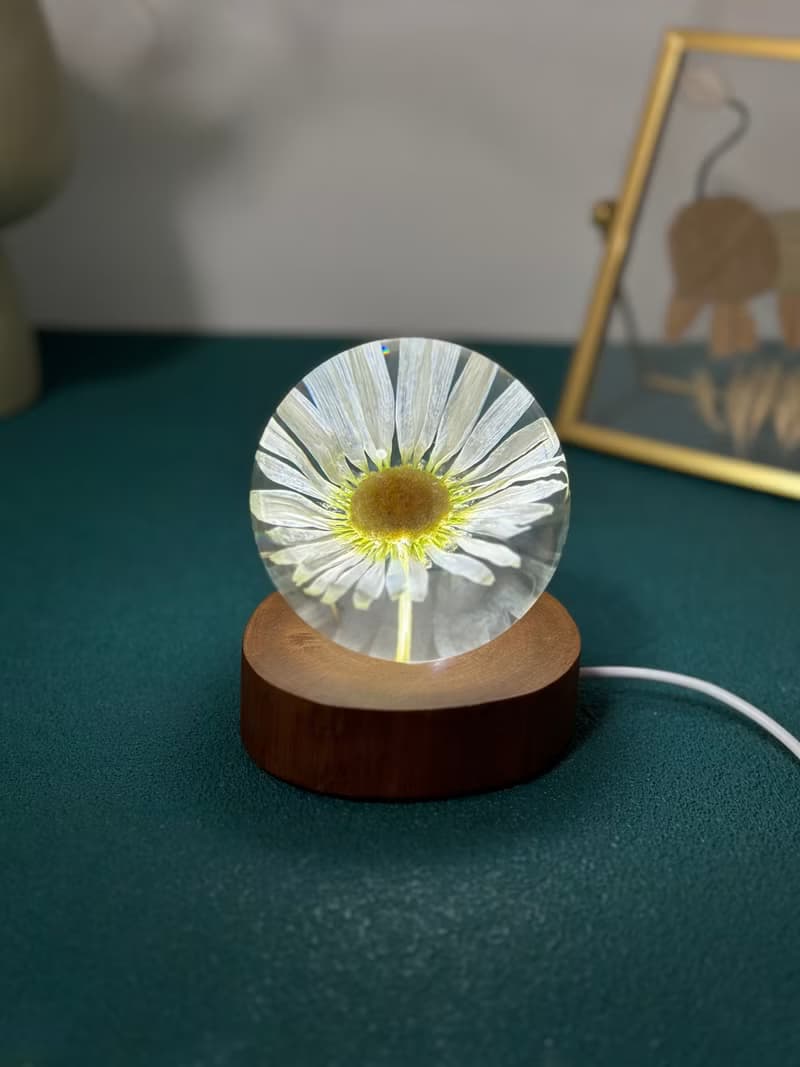 雛菊真花永生花樹脂夜燈