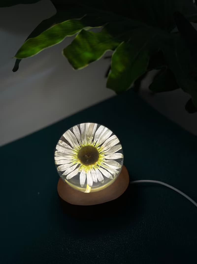 雛菊真花永生花樹脂夜燈