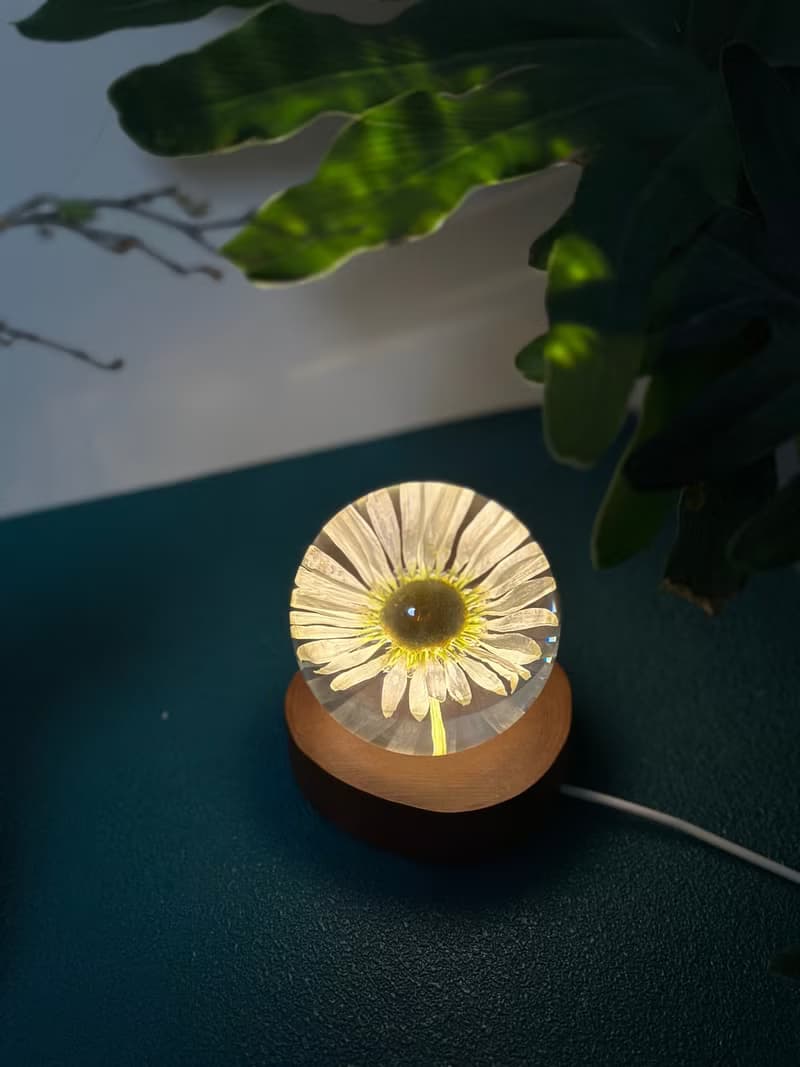 雛菊真花永生花樹脂夜燈