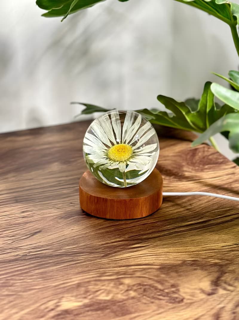 雛菊真花永生花樹脂夜燈