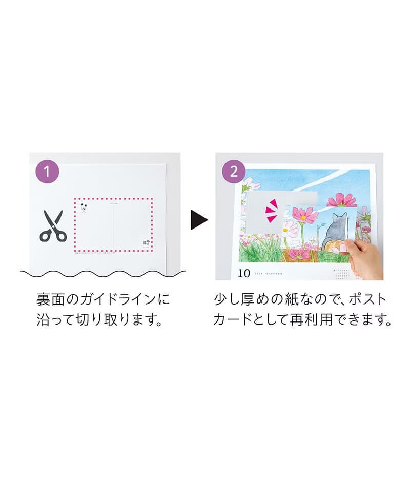 【貓部】2026 四季花卉主題掛曆 月曆 年曆