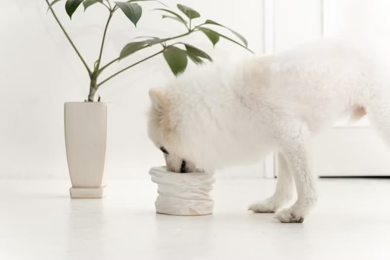 Twisted  pet bowl  ペットボウル　食器スタンド　小型犬　中型犬　ネコ　陶器