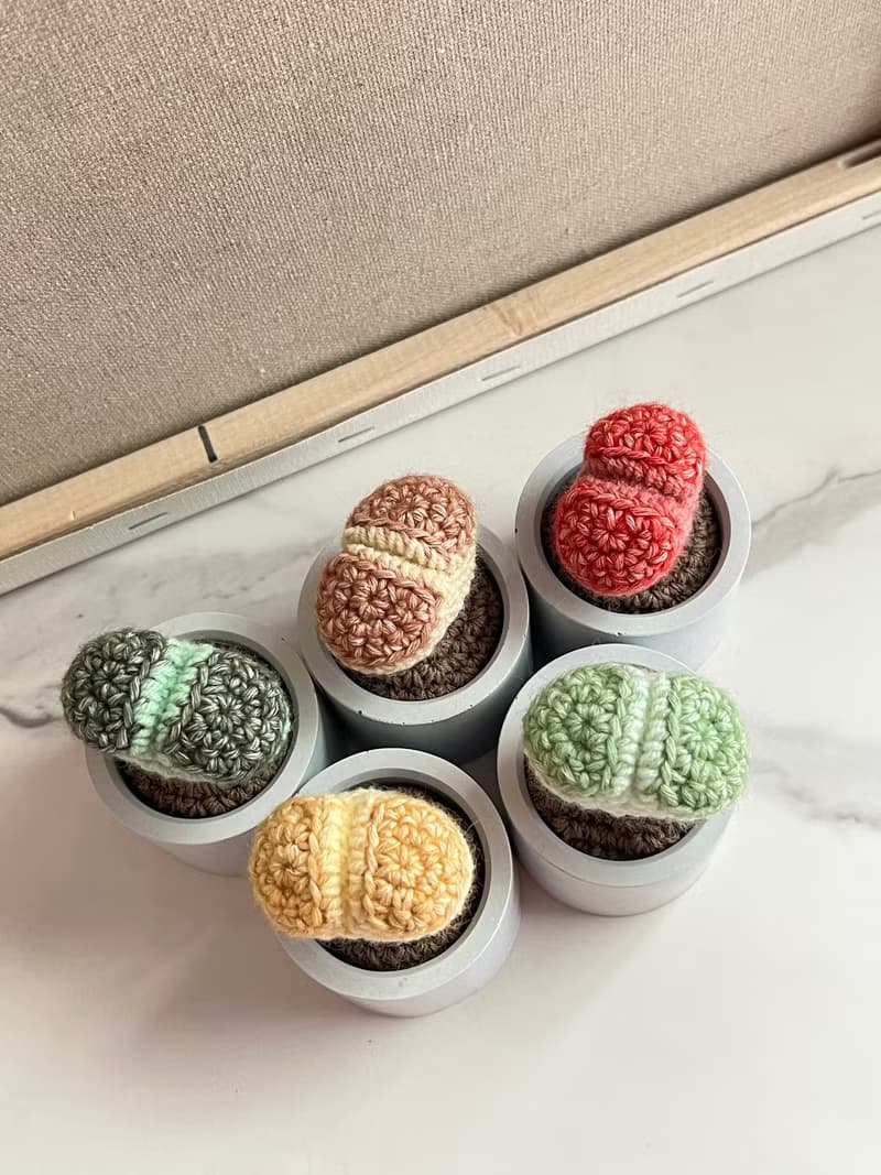 石頭玉擴香盆栽