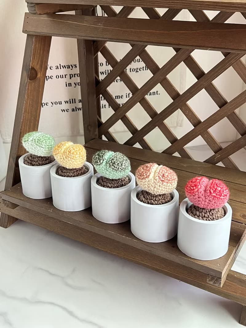 石頭玉擴香盆栽