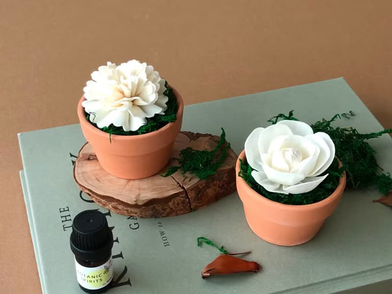 花開了 ∣ 植癒香氛系列
