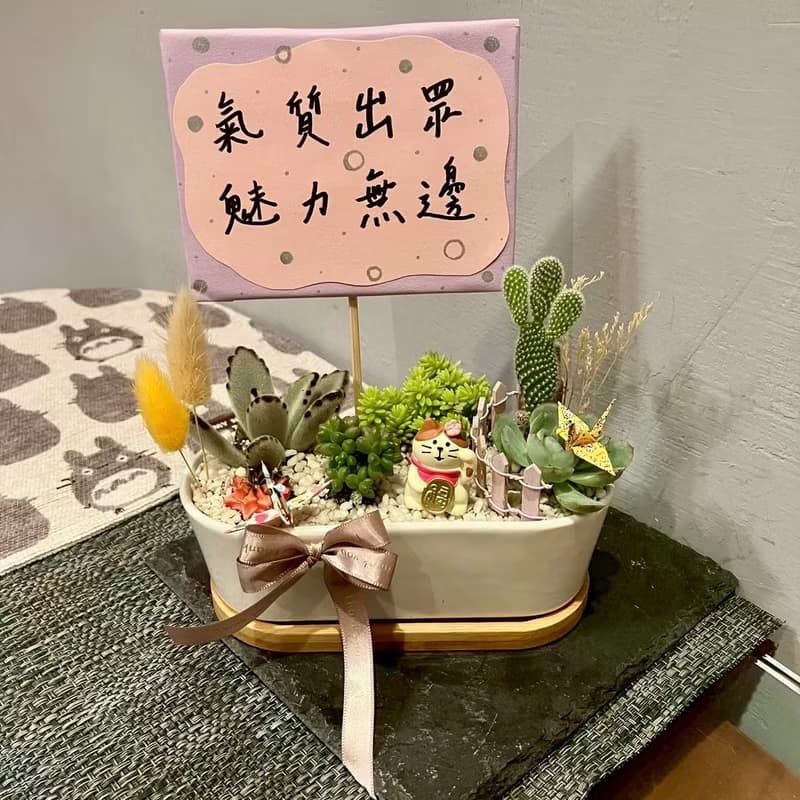 招福貓 福來 貓 台中多肉組盆 多肉植物 植栽送禮 生日 日本decol