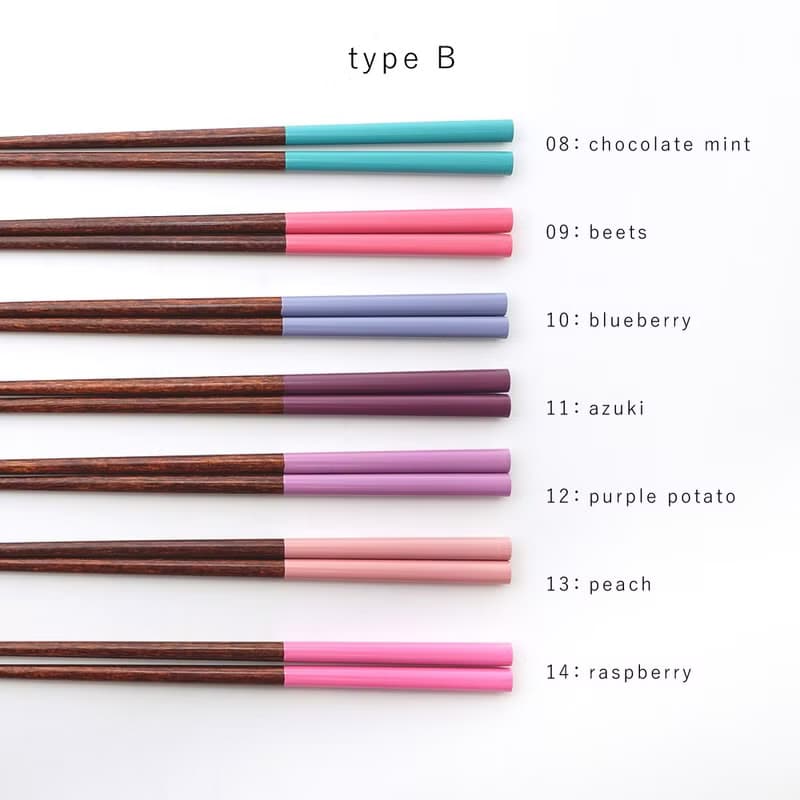 Colors Chopsticks 23cm and Clear Chopsticks Case 24cm Set Gift Japan Rainbow