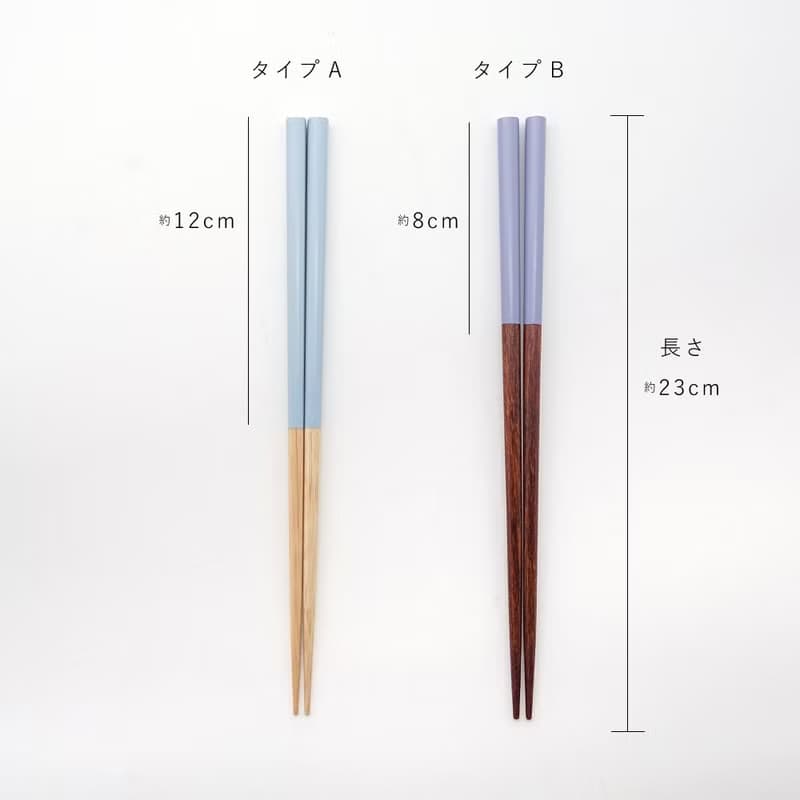 Colors Chopsticks 23cm and Clear Chopsticks Case 24cm Set Gift Japan Rainbow