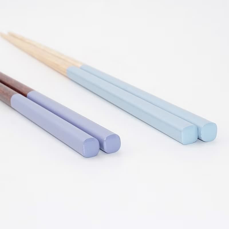 Colors Chopsticks 23cm and Clear Chopsticks Case 24cm Set Gift Japan Rainbow