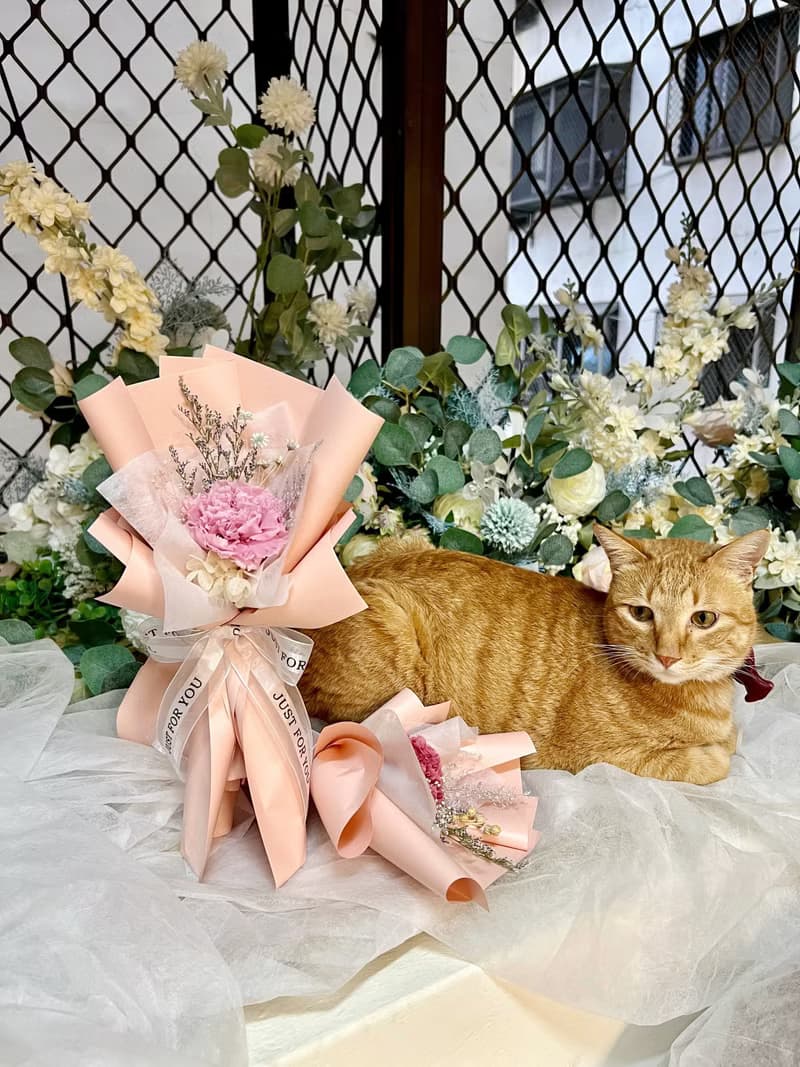 永生康乃馨小花束