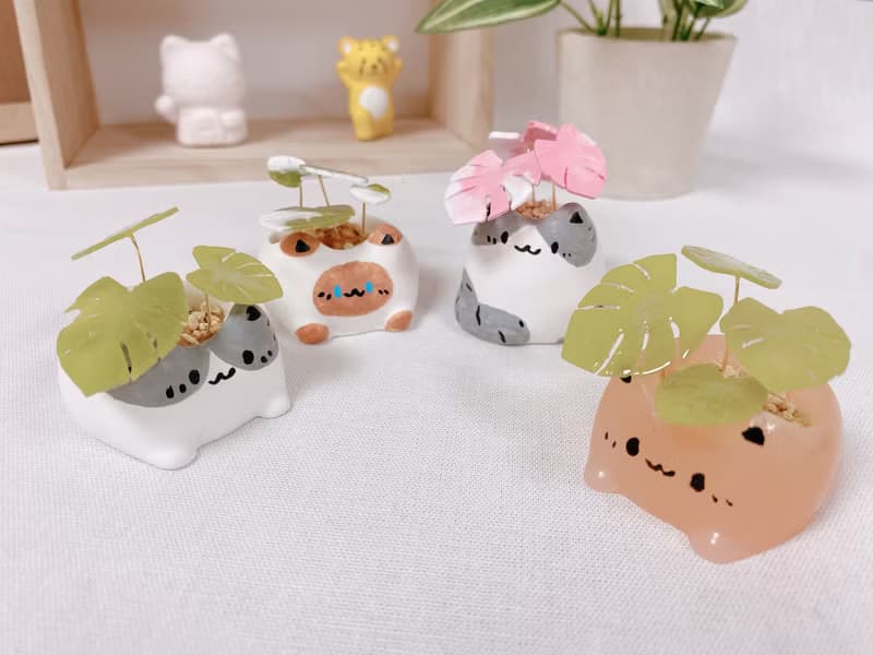 植喵系列 龜背芋喵   擴香桌面小植栽