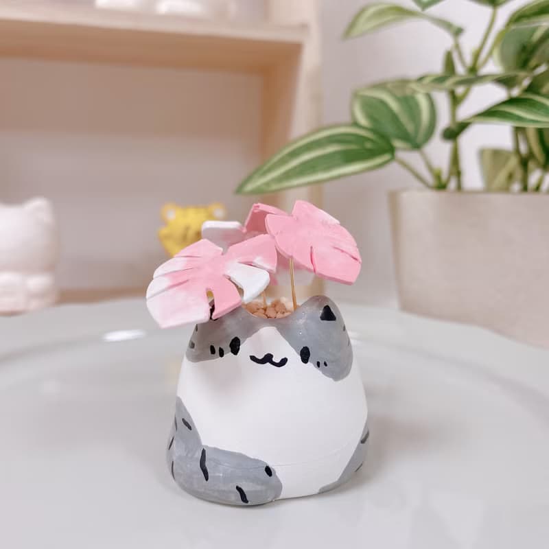 植喵系列 龜背芋喵   擴香桌面小植栽