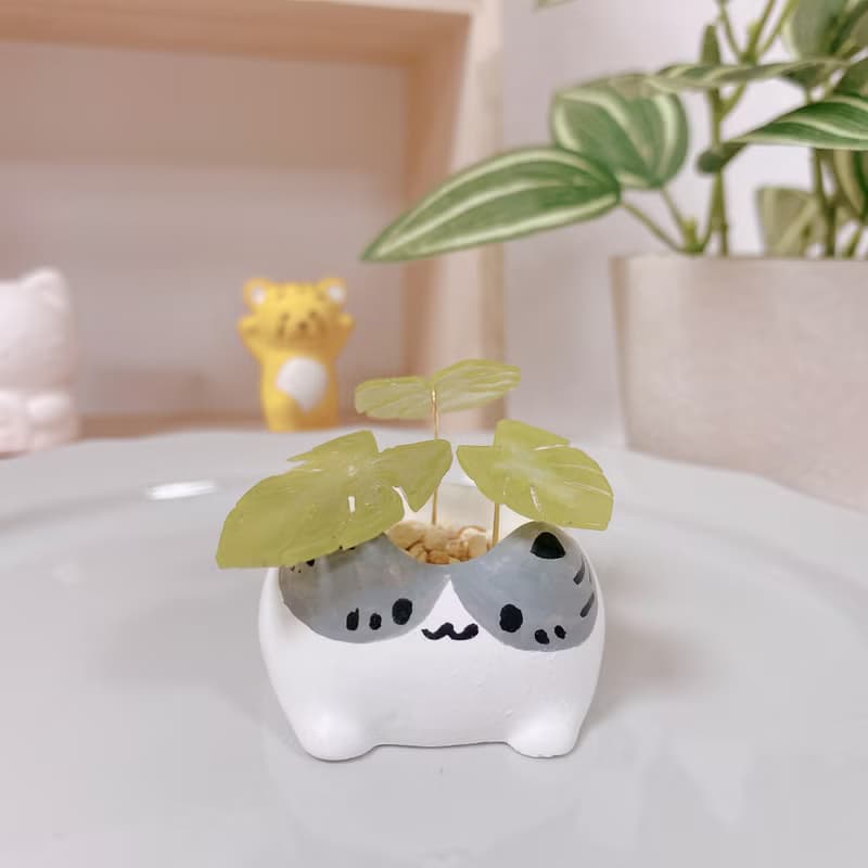 植喵系列 龜背芋喵   擴香桌面小植栽