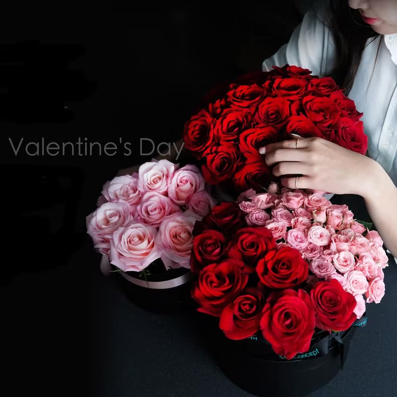 情人節限定 | Be my Valentine 厄瓜多皇家粉玫鮮花禮盒 | 鮮花