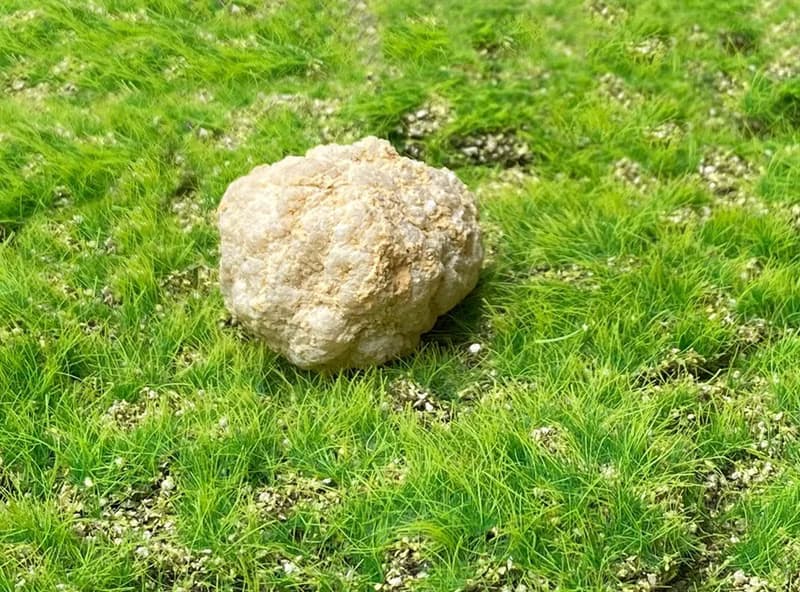 招財改運-天然原礦瑪瑙小小白晶洞 小晶洞  消磁 療癒 能量 開運