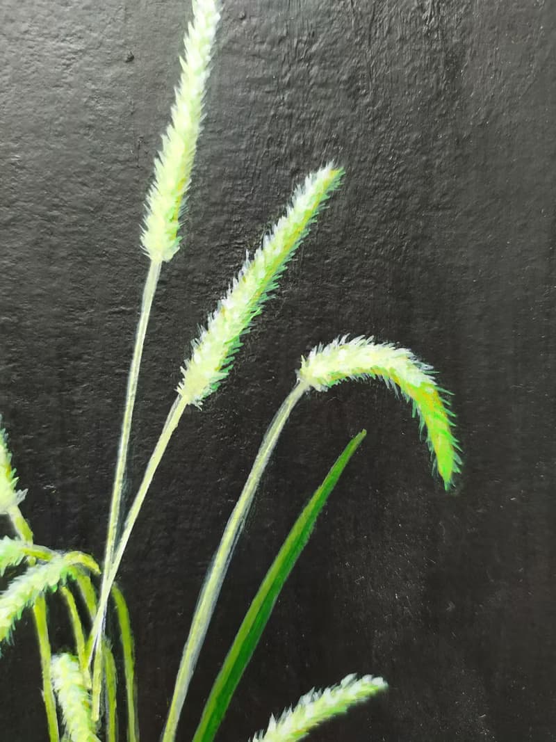 玫瑰花束及其他