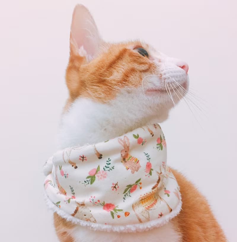 毛絨保暖寵物脖圍 寵物圍巾 領巾 項圈 -- 酥酥烤土司