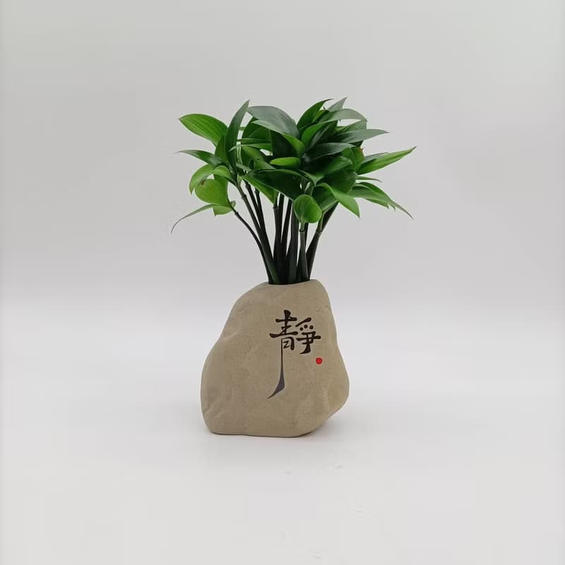 竹柏植栽 陶藝小佛祖 奇木 黑檀原木墊