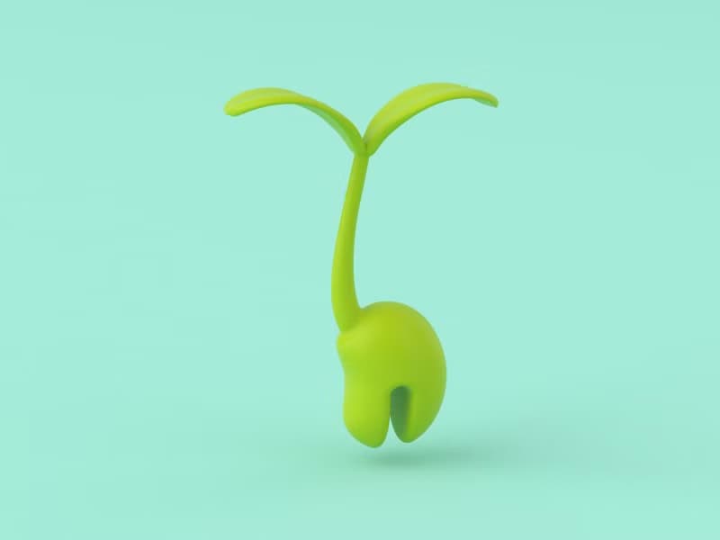 Seedling Sprout 小豆苗鍋蓋撐