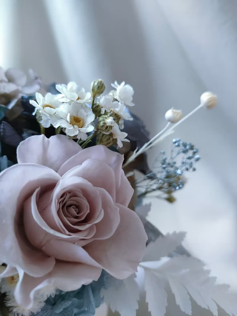 Sheer Whisper絮語藏花_莫蘭迪開幕喬遷永生擴香桌花盆花