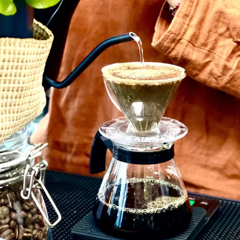 台灣 阿里山 鄒築園 藝伎 蜜處理 精品咖啡豆 225g 中淺
