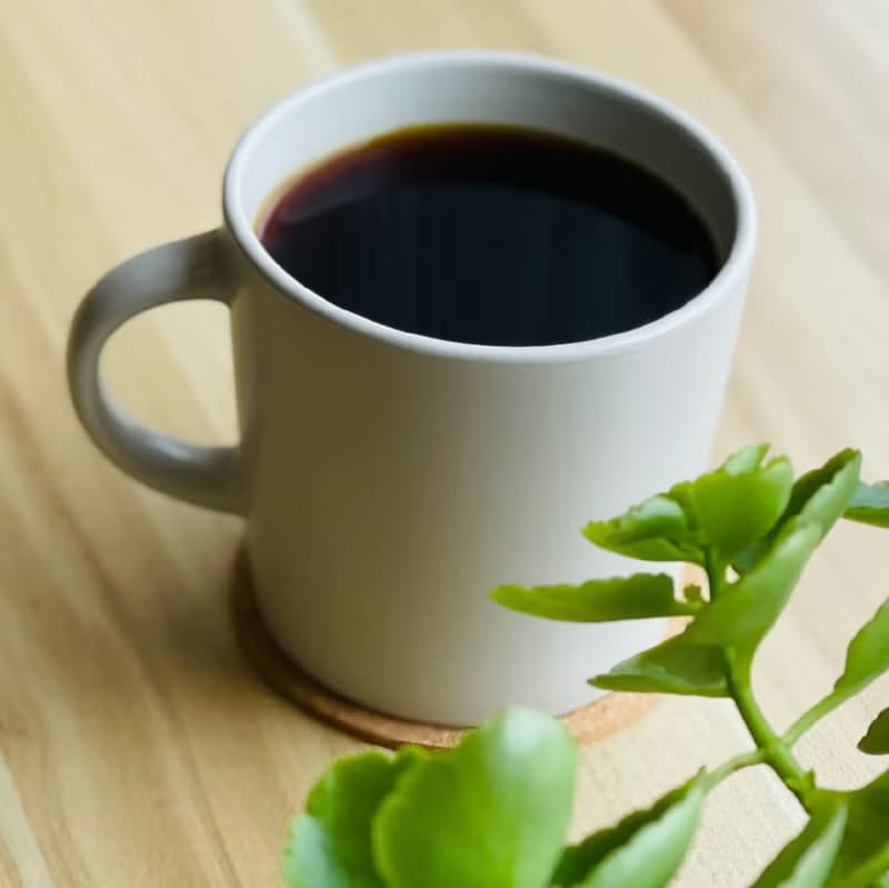 台灣 阿里山 鄒築園 藝伎 蜜處理 精品咖啡豆 225g 中淺
