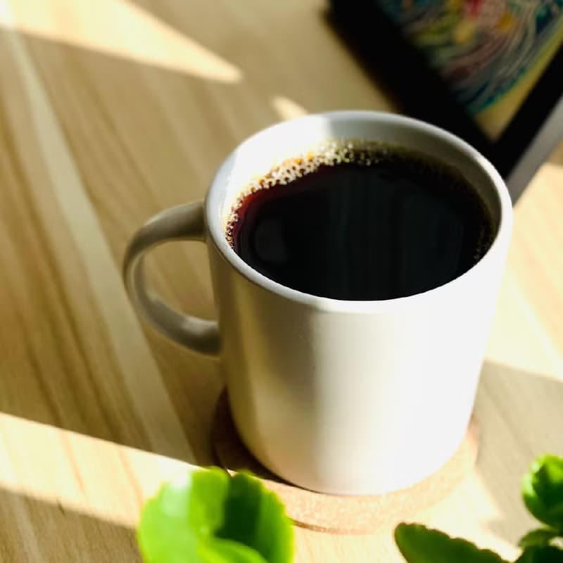 台灣 阿里山 鄒築園 藝伎 蜜處理 精品咖啡豆 225g 中淺