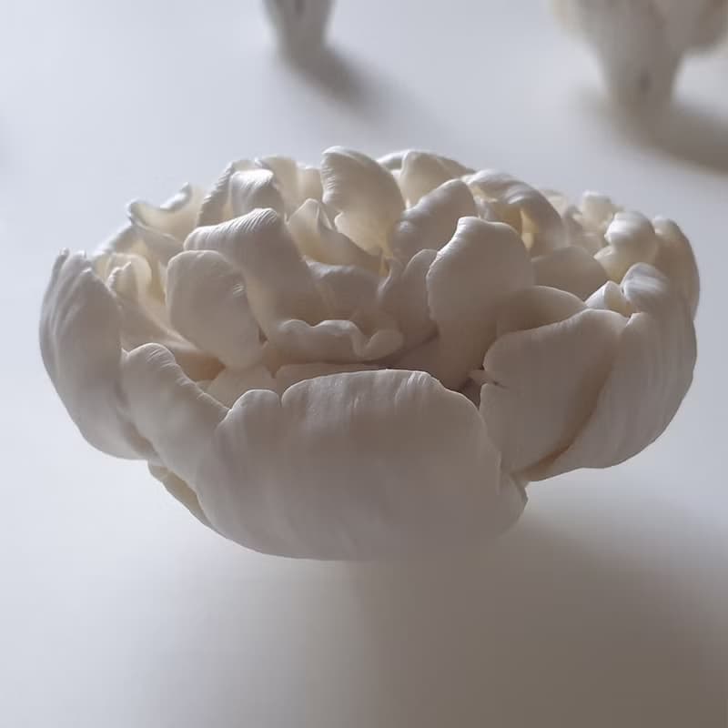 瓷花扩散器芳香疗法精油美丽的家居装饰