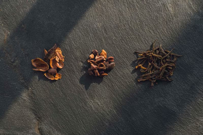 巧克力普洱