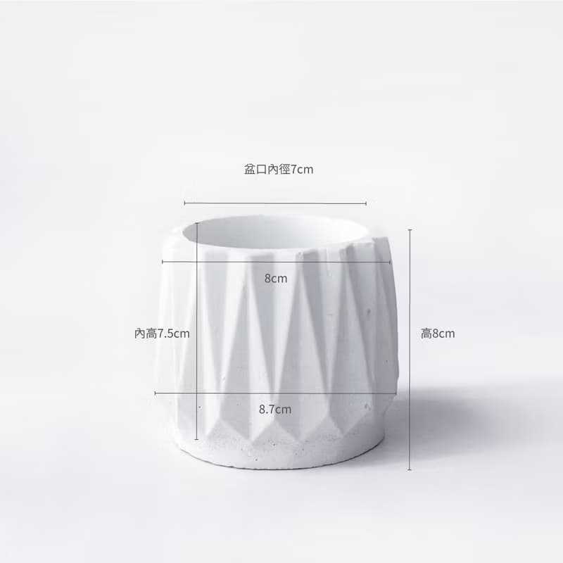 (預購) 純灰系列 | 乳斑椒草 室內植栽 幾何折扇圓形純灰水泥盆栽