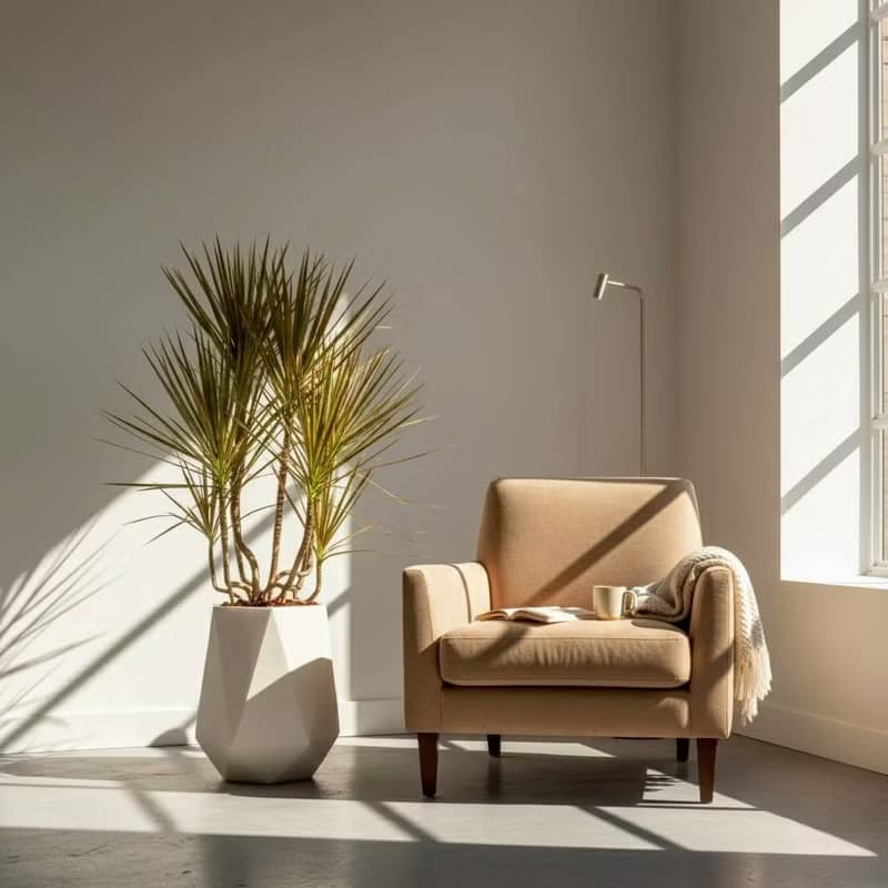 千年木 幾何白盆 落地盆栽 大盆栽 開幕送禮 喬遷禮物 植栽 辦公