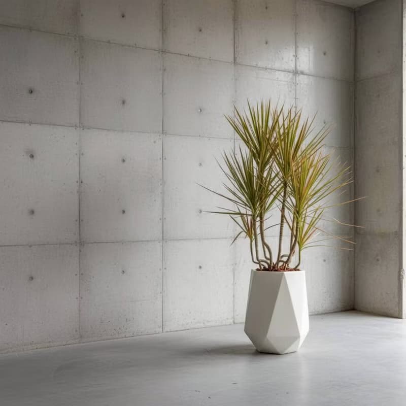 千年木 幾何白盆 落地盆栽 大盆栽 開幕送禮 喬遷禮物 植栽 辦公