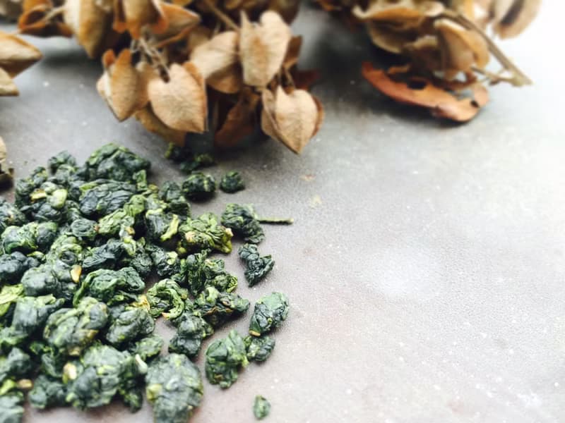 【阿里山烏龍茶茶包】 原葉立體茶包 隨手包-五入 |亘茶 茶葉