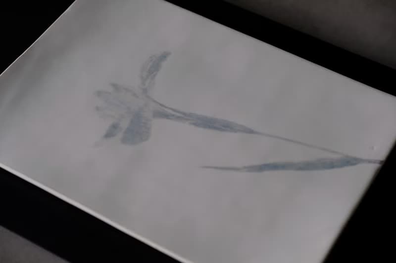 鳶尾花_茶盤
