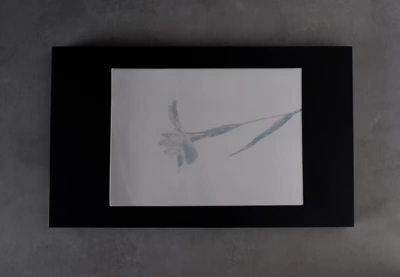 鳶尾花_茶盤