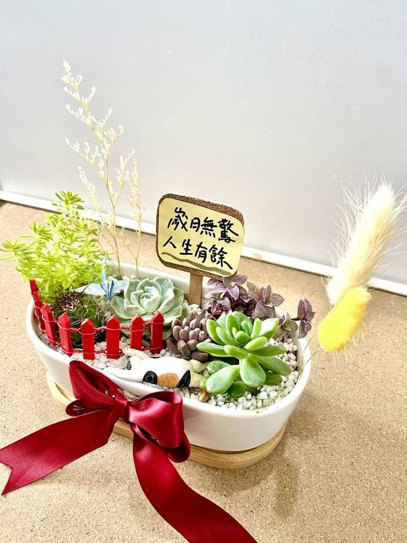 多肉組盆 多肉植物 日式枯山水 三花貓 玳瑁貓 貓奴送禮 貓咪 禪