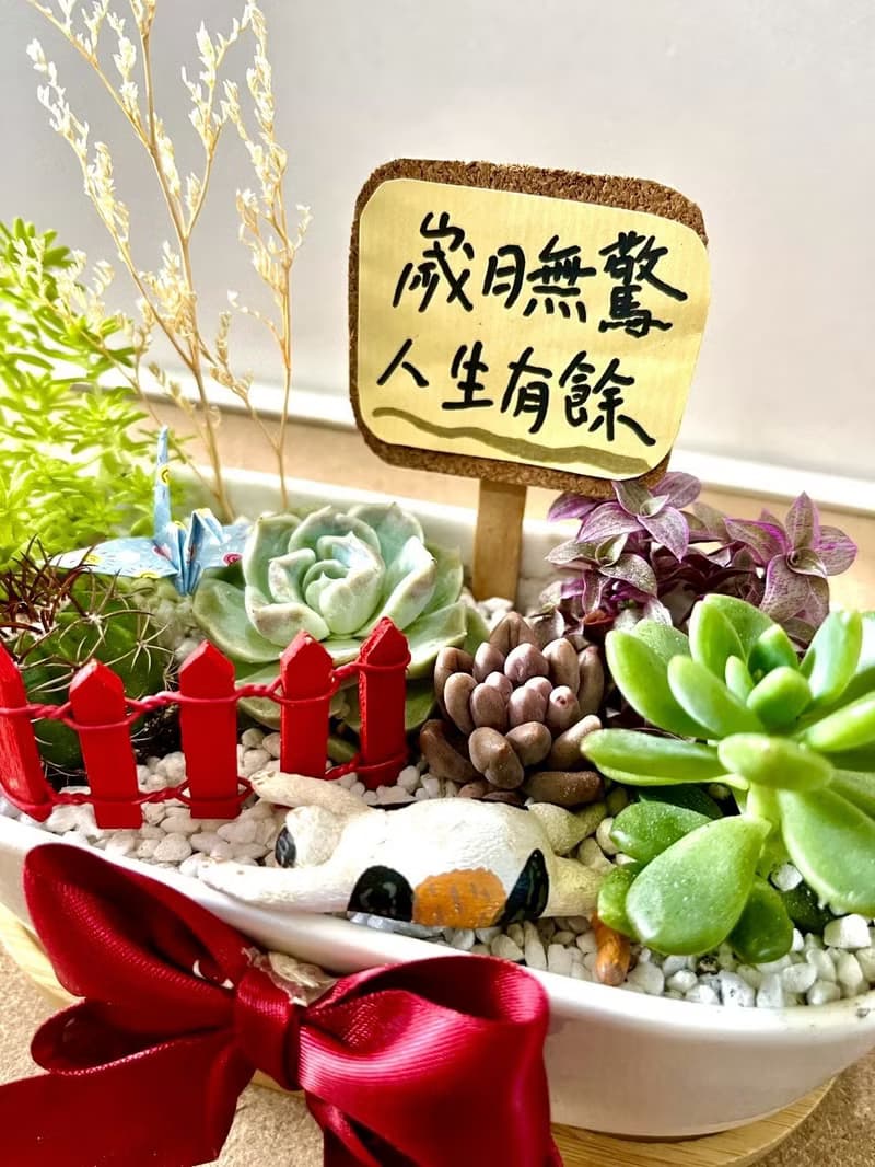 多肉組盆 多肉植物 日式枯山水 三花貓 玳瑁貓 貓奴送禮 貓咪 禪