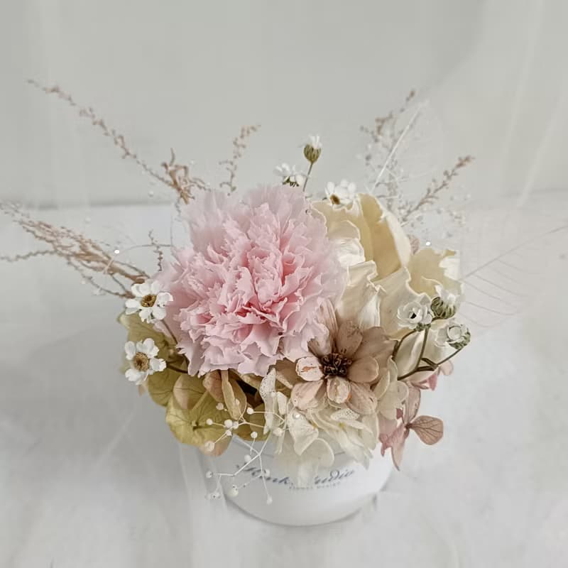 永生康乃馨盆花|生日求婚結婚捧花永生乾燥花畢業謝師禮物畢業禮