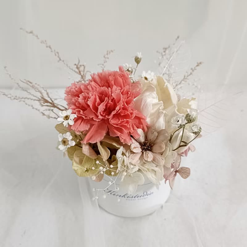 永生康乃馨盆花|生日求婚結婚捧花永生乾燥花畢業謝師禮物畢業禮