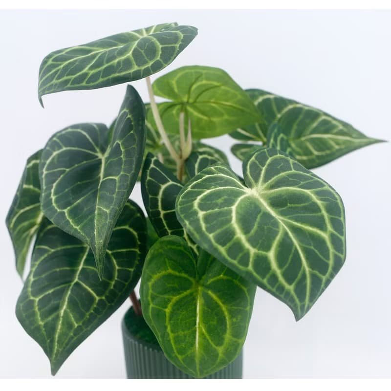 高擬真水晶火燭葉盆栽/仿真植物/觀葉盆栽/人造植物/綠化/佈置