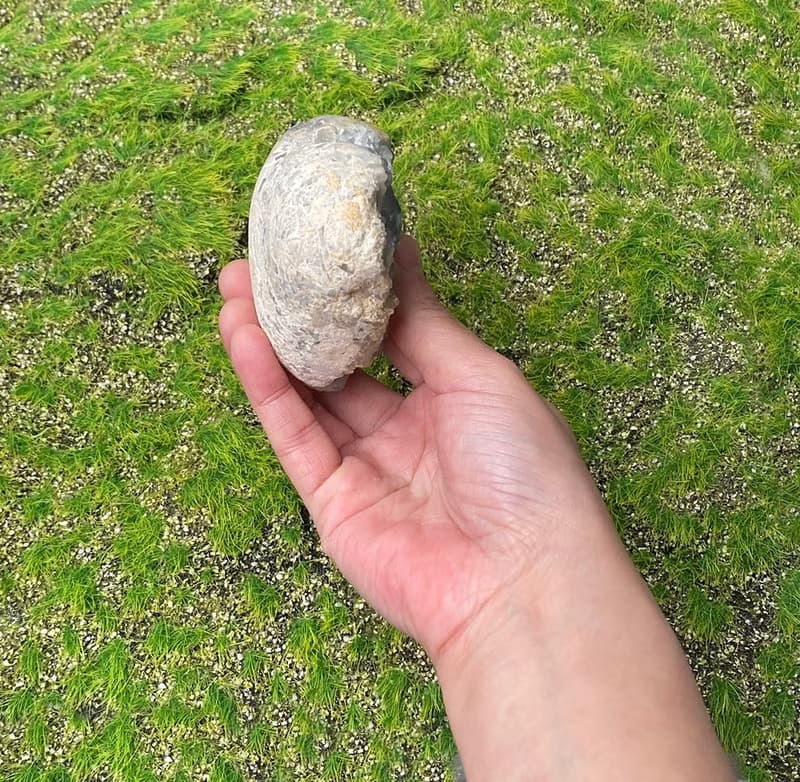超美天然原礦小清新天青石愛心 藍水晶 療癒 淨化 辦公室 風水