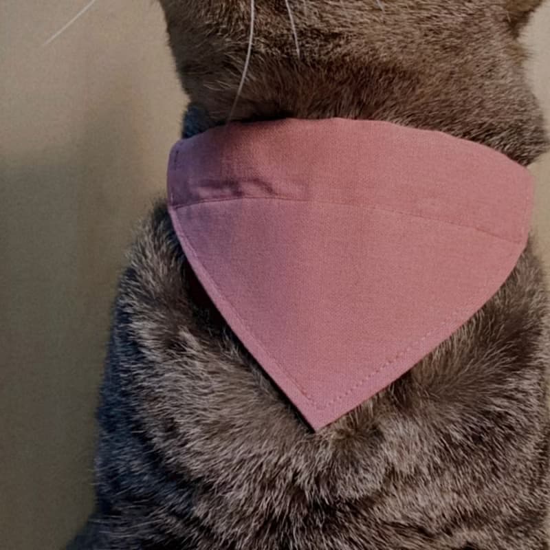 簡約手工定制貓項圈 Dusty Pink Bandana Breakaway Cat Collar