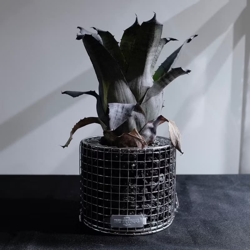 可重複裝填蛇籠圓盆