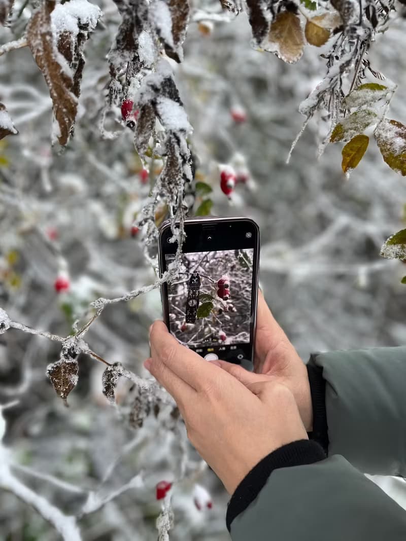 白水晶 蠟線編織手鍊