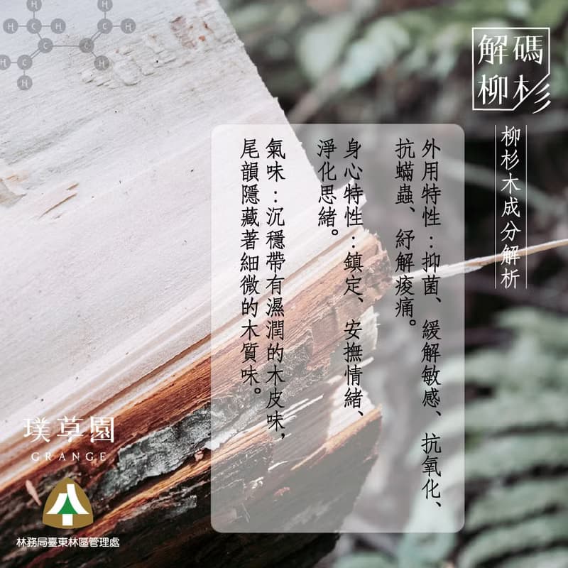 解碼柳杉香氛噴霧 30ml－抑菌抗蟎 枕頭棉被清涼好眠