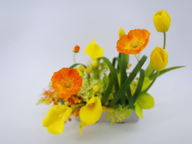 鬱金香虞美人海芋香氛花禮/入厝禮/開幕/喬遷/送禮/植栽