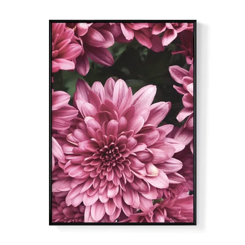 花 • 天生麗質 - 桃紅花朵寫真掛畫/新年佈置/開店禮物/餐廳擺設